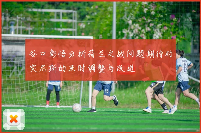 谷口彰悟分析荷兰之战问题期待对突尼斯的及时调整与改进